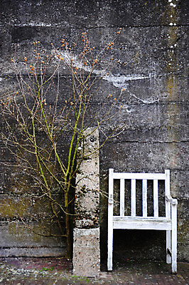 포토 JPG 해외이미지 나무 벽 의자 벽돌 사람없음 야외 초록색 회색 흰색 도시 시멘트 썩음 옛날 콘크리트 해외202004 해외포토 식물 컬러 가구 파일형식 이미지허브