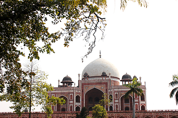 포토 JPG 해외이미지 디자인 아시아 별 조각 패턴 건축양식 유물 동양인 사람없음 건물 장식 빨간색 문 스크린 궁전 바위 무덤 화려 역사 이슬람교 인도인 입장 아치 모스크 정사각형 대리석 망사 복잡 아랍어 옛날 해외202004 해외포토 자연요소 도형 외국인 전통 건축물 건축 나라 종교 컬러 컨셉 고건축 무늬 재료 인종 돌_바위 직물 파일형식 이미지허브