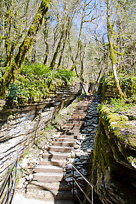 포토 JPG 해외이미지 나무 식물 손 계절 잎 자연 손잡이 이끼 사람없음 야외 초록색 울타리 상자 정원 봄 성장 칼날 닫기 발굴 원예 클립 날카로움 다듬기 돌봄 옛날 울퉁불퉁 원예사 그리너리 해외202004 해외포토 직업 컬러 모션 취미 신체부위 담장 생태계 파일형식 트랜드컬러 이미지허브
