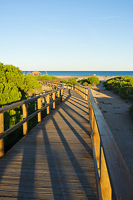 포토 JPG 해외이미지 유럽 풍경 사람없음 야외 목재 세로 여름 모래사장 햇빛 평화 맑음 스페인 지중해 모래언덕 휴양지 카피스페이스 해외202004 해외포토 나무 계절 나라 바다 컨셉 재료 날씨 태양 공백 장소 언덕 파일형식 이미지허브