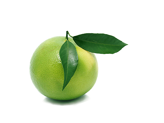 포토 JPG 해외이미지 라이프스타일 음료 음식 백그라운드 잎 오렌지 과일 재료 자연 귤 건강 그림자 사람없음 가로 빨간색 초록색 노란색 활발 흰색 신선 달콤 자르기 먹기 가득함 오브젝트 싱글 상쾌 유기농 날것 향기 슛 문학 길이 고립 숙성 채식주의자 해외202004 해외포토 식물 웰빙 감정 컬러 컨셉 모션 생활 맛 생태계 채식 냄새 파일형식 이미지허브