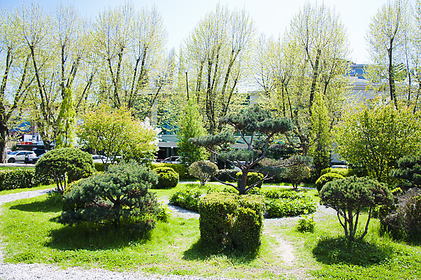 포토 JPG 해외이미지 나무 공원 잎 자연 따뜻함 사람없음 야외 목재 초록색 컬러풀 노란색 상점 맑음 봄 산책 나뭇가지 신선 보행로 관목 만족 선로 해외202004 해외포토 식물 계절 공공시설 감정 길 컬러 재료 날씨 휴식 생태계 파일형식 이미지허브