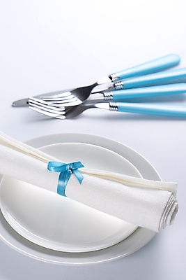 포토 JPG 해외이미지 식기 접시 리본 음식 백그라운드 포크 탁자 사람없음 장식 파란색 빛 세트 금속 주방 식당 식사 저녁식사 침묵 장비 식탁보 흰색 기구 축하 칼 고급 우아함 은색 플라스틱 먹기 오브젝트 활 냅킨 설정 점심식사 철강 해외202004 해외포토 컬러 가구 컨셉 모션 재질 상점 소리 파일형식 이미지허브