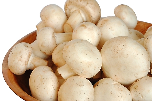 포토 JPG 해외이미지 음식 자연 사람없음 버섯 흰색 사발 고립 곰팡이 식용 캡모자 해외202004 해외포토 모자_잡화 컬러 사기그릇 생태계 파일형식 이미지허브