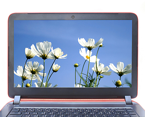 포토 JPG 해외이미지 식물 공원 꽃 잎 밭 날개 통신 자연 하늘 사람없음 책 파란색 노트북 컴퓨터 노란색 금속 디지털 모니터 정원 공책 터치 신선 업무 네트워크 개화 민들레 허브 생물학 데이지 전자 패드 고립 동물상 해외202004 해외포토 공공시설 교육 컬러 농업 재질 문구용품 전자제품 조형물 작업 생태계 파일형식 이미지허브