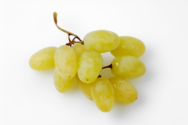 포토 JPG 해외이미지 음식 과일 포도 건강 사람없음 초록색 노란색 흰색 신선 달콤 맛 해외202004 해외포토 컬러 컨셉 파일형식 이미지허브