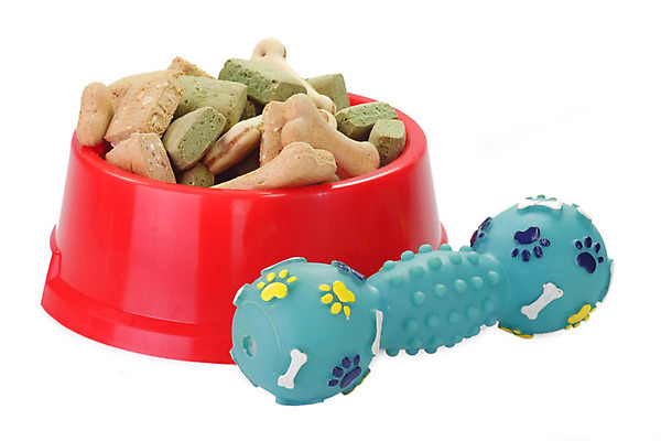 포토 JPG 해외이미지 동물 접시 음식 다이어트 뼈 사람없음 빨간색 장난감 기차 흰색 대접 최고 사발 닫기 개 강아지 고립 돌봄 영양소 해외202004 해외포토 식기 육상교통 컬러 포유류 모션 대중교통 건강 반려동물 사기그릇 파일형식 이미지허브