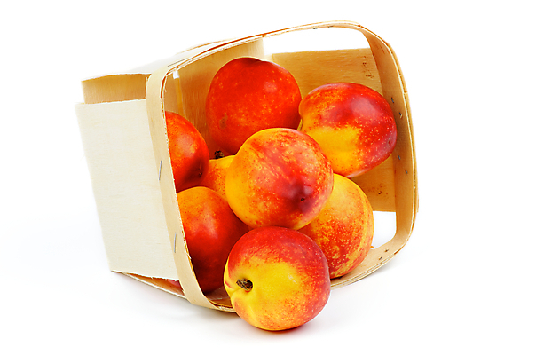 포토 JPG 해외이미지 전신 오렌지 과일 재료 사람없음 빨간색 노란색 바구니 흰색 신선 그룹 달콤 상쾌 유기농 복숭아 흙더미 건강식 숙성 채식주의자 천도복숭아 해외202004 해외포토 웰빙 감정 음식 컬러 흙 맛 채식 파일형식 더미 이미지허브