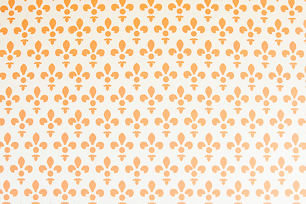 포토 JPG 해외이미지 디자인 백그라운드 패턴 오렌지 벽지 사람없음 흰색 시멘트 해외202004 해외포토 컬러 무늬 과일 파일형식 이미지허브