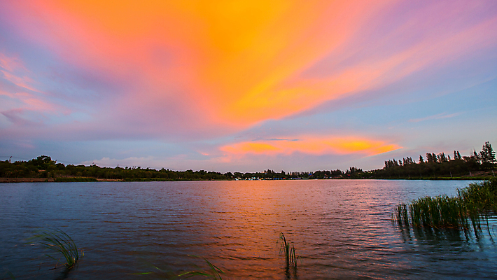 포토 JPG 해외이미지 공원 꽃 종교 농업 오렌지 중동 하늘 산 어류 풍경 사람없음 물 여름 강 야자수 햇빛 태양 반사 일출 일몰 놀람 흐름 시골 연못 투명 개울 황금 중앙 매끈함 순수 신성 동쪽 이스라엘 목가 해외202004 해외포토 자연요소 나무 식물 계절 공공시설 감정 나라 산업 컨셉 과일 표정 노을 수중동물 감각 방향 서아시아 파일형식 이미지허브