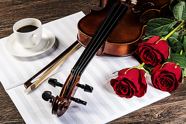 포토 JPG 해외이미지 커피 사람없음 장미 우아함 커피잔 바이올린 악보 나무바닥 바이올린활 차받침대 해외202004 해외포토 꽃 음료 음악 컨셉 현악기 잔 바닥 받침대 파일형식 이미지허브