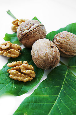 포토 JPG 해외이미지 음식 잎 과일 건강 사람없음 초록색 갈색 견과류 흰색 알맹이 날것 호두 고립 깨짐 바이오 숙성 해외202004 해외포토 식물 컬러 컨셉 파일형식 이미지허브