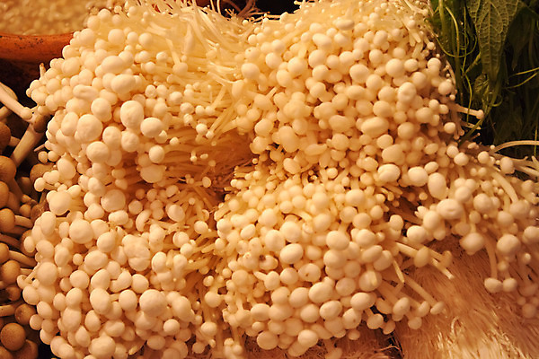 포토 JPG 해외이미지 식물 음식 백그라운드 잎 농업 채소 오렌지 자연 건강 요리 사람없음 목재 초록색 농장 식사 버섯 흰색 나뭇가지 신선 소나무 황금 맛 먹기 대나무 유기농 생물학 날것 바이오 영양분 해외202004 해외포토 나무 웰빙 교육 산업 컬러 컨셉 과일 재료 모션 생태계 파일형식 이미지허브