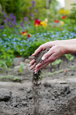 포토 JPG 해외이미지 손 농업 자연 한명 잔디 초록색 갈색 쌓기 정원 흙 봄 잡기 원예 먼지 흙더미 해외202004 해외포토 식물 1 계절 산업 컬러 모션 사람 취미 신체부위 생태계 파일형식 더미 이미지허브