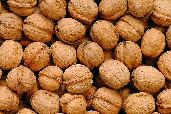 포토 JPG 해외이미지 음식 백그라운드 과일 사람없음 갈색 견과류 껍질 가을 호두 해외202004 해외포토 계절 컬러 파일형식 이미지허브