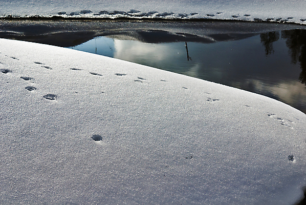 포토 JPG 해외이미지 길 겨울 밭 자연 하늘 날씨 풍경 사람없음 물 반사 흰색 보호 매끈함 가득함 즐거움 서리 생태학 자취 제설기 해외202004 해외포토 자연요소 계절 교육 감정 컬러 컨셉 농업 감각 생태계 제설 파일형식 이미지허브