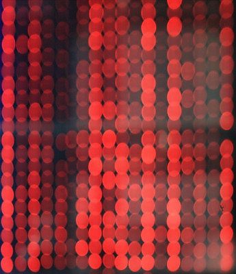 포토 JPG 해외이미지 나무 디자인 백그라운드 크리스마스 패턴 모션 불 휴가 기념 폭죽 미술 사람없음 아웃포커스 장식 가로 빨간색 빛 컬러풀 파티 우주 검은색 축제 활발 장비 축하 원형 야간 소프트포커스 보케 문학 부드러움 마법 빛망울 광 블러 효과 해외202004 해외포토 자연요소 도형 식물 기념일 컬러 컨셉 무늬 문화예술 촬영기법 이벤트 감각 파일형식 이미지허브