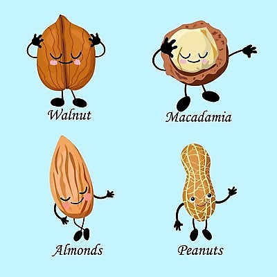 포토 JPG 해외이미지 아이콘 캐릭터 디자인 행복 감정 얼굴 음식 다이어트 일러스트 재료 자연 건강 씨앗 미소 사람없음 초록색 세트 견과류 껍질 표현 신선 플랫 만화 수집 유기농 날것 땅콩 호두 아몬드 버터 이모티콘 내추럴 고립 단백질 채식주의자 캐슈넛 개암 비건 해외202004 해외포토 식물 웰빙 열매 컬러 표정 신체부위 생태계 채식 영양소 파일형식 이미지허브