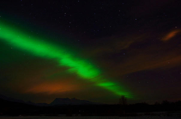 포토 JPG 해외이미지 나무 구름 별 겨울 자연 하늘 동화 바람 불꽃 전등 산 노르웨이 풍경 사람없음 야외 초록색 빛 강 태양 얼음 힘 활발 꿈 추위 흰색 춤 원형 야간 숲 신비 북극 문학 북쪽 빛망울 오로라 내추럴 광 북극해 현상 환상 많음 더스트파티클 해외202004 해외포토 자연요소 도형 식물 계절 유럽 바다 컬러 컨셉 자연현상 불 날씨 문화예술 조명 극지방 방향 생태계 파일형식 이미지허브