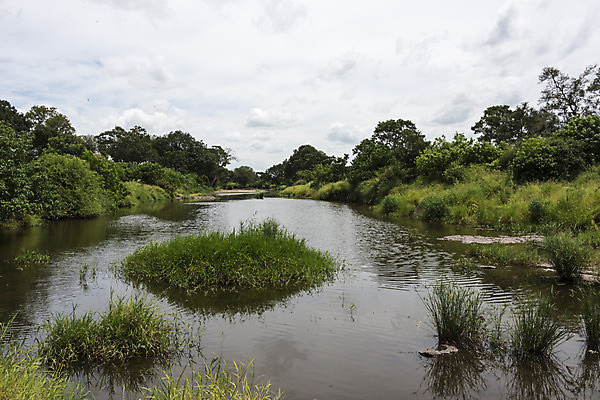 포토 JPG 해외이미지 나무 동물 공원 도로 길 야생동물 여행 아프리카 자동차 자연 풍경 사람없음 초록색 물 강 환경 게임 행운 보호 사파리 지역 멸종 동쪽 남쪽 남아프리카 전국 해외202004 해외포토 자연요소 식물 공공시설 나라 육상교통 컬러 컨셉 교통시설 놀이 방향 생태계 파일형식 이미지허브