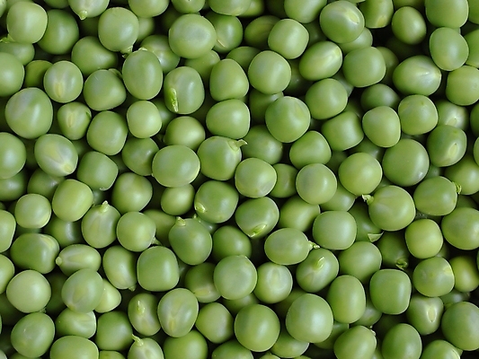 포토 JPG 해외이미지 음식 백그라운드 채소 요리 사람없음 초록색 신선 닫기 질감 완두콩 해외202004 해외포토 컬러 모션 콩 파일형식 이미지허브