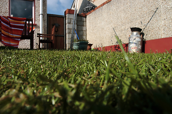 포토 JPG 해외이미지 식물 디자인 외관 꽃 주택 건강 풍경 잔디 사람없음 건물 초록색 태양 정원 성장 재산 원예 대문 조경 해외202004 해외포토 자연요소 건축물 컬러 취미 금융 문 파일형식 이미지허브