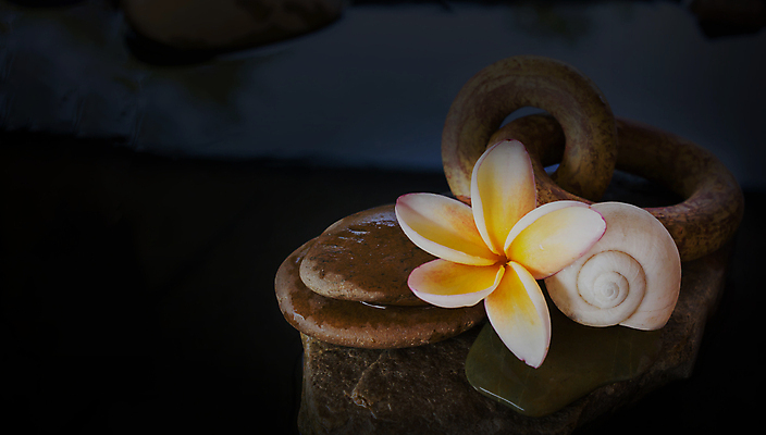 포토 JPG 해외이미지 식물 꽃 백그라운드 꽃무늬 오렌지 휴식 사람없음 장식 물 여름 평화 벚꽃 조약돌 바위 클래식 우아함 명상 향기 발리 부드러움 해외202004 해외포토 자연요소 계절 섬 컨셉 무늬 과일 돌_바위 감각 냄새 인도네시아 파일형식 이미지허브