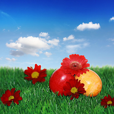 포토 JPG 해외이미지 전통 디자인 계절 꽃 행복 기독교 종교 음식 백그라운드 꽃무늬 패턴 자연 휴가 부활절 창조 선물 사람없음 장식 빨간색 초록색 컬러풀 계란 페인트 놀람 봄 흰색 축하 토끼 둥지 4월 수집 심볼 고립 해외202004 해외포토 식물 기념일 감정 컬러 컨셉 무늬 포유류 표정 반려동물 알 날짜 생태계 파일형식 이미지허브