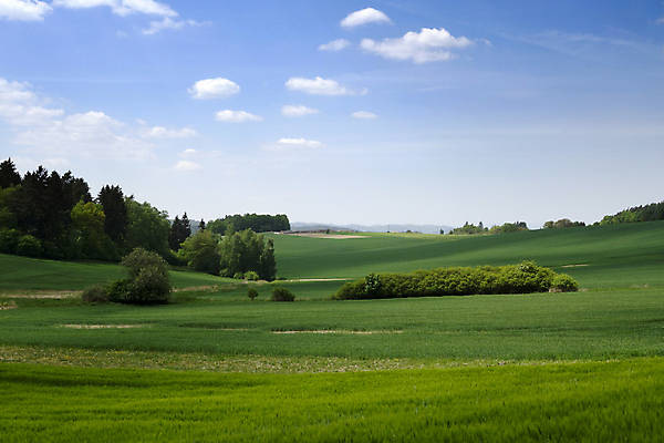 포토 JPG 해외이미지 나무 식물 구름 외관 유럽 도로 밭 농업 자연 하늘 풍경 사람없음 야외 목재 초록색 환경 와인 봄 성장 시골 숲 언덕 지역 체코 내추럴 공화국 보헤미아 생태학 수평선 해외202004 해외포토 자연요소 계절 교육 나라 산업 길 컬러 재료 교통시설 주류 생태계 파일형식 이미지허브