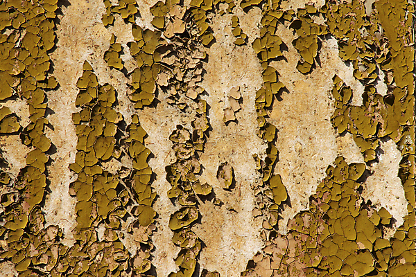 포토 JPG 해외이미지 벽 백그라운드 패턴 벽지 표면 날씨 추상 미술 사람없음 목재 빨간색 초록색 갈색 페인트 손상 골동품 껍질 얼룩 거친 역사 균열 닫기 두루마리 폐허 질감 복고 다리찢기 깨짐 엘리먼트 옛날 효과 해외202004 해외포토 나무 컬러 컨셉 무늬 재료 모션 문화예술 파일형식 이미지허브