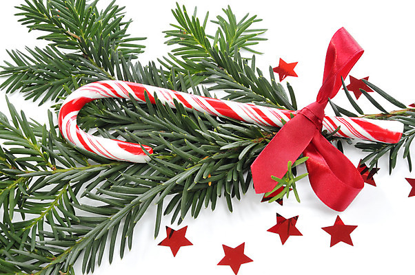 포토 JPG 해외이미지 별 크리스마스 휴가 사탕 선물 사람없음 빨간색 축하 전나무 해외202004 해외포토 자연요소 나무 기념일 컬러 컨셉 디저트 파일형식 이미지허브