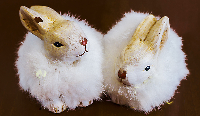 포토 JPG 해외이미지 동물 2 휴가 부활절 앉기 사람없음 장식 축제 흰색 시골 토끼 해외202004 해외포토 기념일 컬러 포유류 모션 반려동물 파일형식 이미지허브