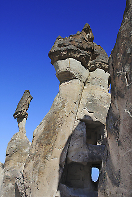 포토 JPG 해외이미지 사람없음 부식 칠면조 해외202004 해외포토 조류 파일형식 이미지허브