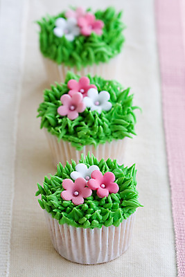 포토 JPG 해외이미지 꽃 선 음식 분홍색 결혼 디저트 3 사람없음 장식 초록색 케이크 정원 얼음 달콤 컵케이크 굽기 미니 반투명 줄서기 프로스팅 해외202004 해외포토 자연요소 식물 컬러 모션 이벤트 맛 구이 제빵 파일형식 이미지허브