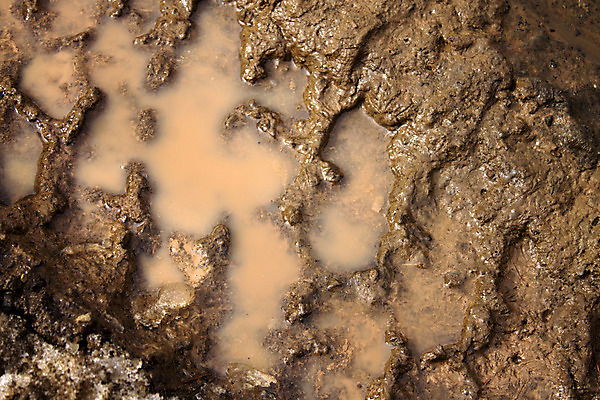 포토 JPG 해외이미지 사람없음 트랙 지역 진흙 짐차 비포장도로 오프로드 해외202004 해외포토 도로 자동차 파일형식 이미지허브