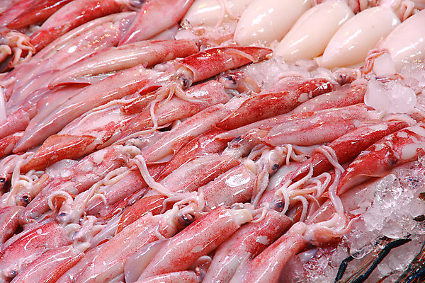 포토 JPG 해외이미지 백그라운드 다이어트 태국 연체동물 어류 사람없음 신선 그룹 해산물 오징어 날것 문어 촉수 흙더미 생식 줄서기 해외202004 해외포토 아시아 모션 무척추동물 건강 수중동물 흙 파일형식 더미 이미지허브