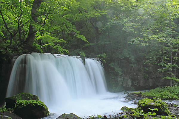 포토 JPG 해외이미지 나무 자연 사람없음 초록색 물 햇빛 일본 힘 폭포 광선 해외202004 해외포토 자연요소 식물 아시아 컬러 태양 생태계 파일형식 이미지허브