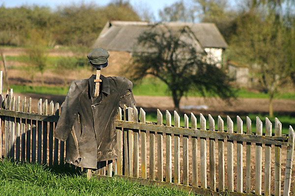 포토 JPG 해외이미지 나무 식물 구름 계절 남자 얼굴 인형 밭 농업 하늘 주택 서기 사람 사람없음 장식 세로 여름 파란색 농작물 울타리 농장 마을 정원 봄 수확 성장 벚꽃 가을 시골 무서움 11월 싱글 원예 먼지 장면 10월 구식 옛날 해외202004 해외포토 자연요소 꽃 감정 산업 컬러 모션 취미 건물 신체부위 담장 날짜 파일형식 이미지허브