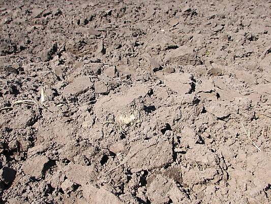 포토 JPG 해외이미지 지구 모래 백그라운드 밭 농업 사람없음 농장 질감 내추럴 밭일 해외202004 해외포토 산업 파일형식 이미지허브