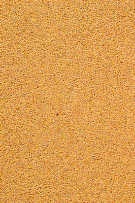 포토 JPG 해외이미지 음식 백그라운드 농업 오렌지 재료 유리 건조 요리 씨앗 사람없음 목재 옆모습 빨간색 갈색 노란색 쌓기 우주 흰색 양념 조미료 사발 냄비 정상 낟알 자르기 인도인 머스터드 향신료 유기농 날것 냄새 아로마 점토 향 흙더미 내추럴 고립 해외202004 해외포토 외국인 나무 식물 웰빙 산업 뷰포인트 컬러 과일 모션 재질 동양인 흙 사기그릇 소스_음식 솥 향미료 파일형식 더미 이미지허브