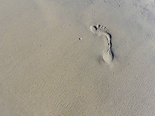 포토 JPG 해외이미지 주간 모양 길 모래 바다 여행 맨발 자연 추상 휴가 휴식 사람 사람없음 야외 걷기 산책 탐험 인쇄 발자국 검색 질감 장면 단계 방법 양발 혼자 해외202004 해외포토 자연요소 컨셉 무늬 자국 모션 발 생태계 파일형식 이미지허브