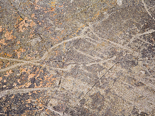 포토 JPG 해외이미지 백그라운드 회사 사람없음 추위 바위 거친 균열 질감 고체 벌거벗은 해외202004 해외포토 비즈니스 모션 돌_바위 파일형식 이미지허브