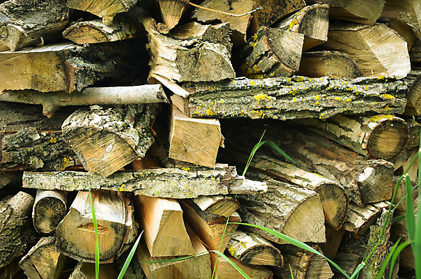 포토 JPG 해외이미지 나무 산업 백그라운드 겨울 패턴 자연 벽지 불 추상 사람없음 야외 목재 갈색 쌓기 환경 재활용 에너지 시골 뜨거움 원형 숲 장작 자르기 묘사 준비 질감 날것 통나무 나무껍질 연료 수납 자원 잡동사니 흙더미 다리찢기 내추럴 수목 옛날 화상 개조 해외202004 해외포토 자연요소 도형 식물 계절 컬러 무늬 재료 모션 흙 껍질 상처 친환경 생태계 파일형식 더미 이미지허브