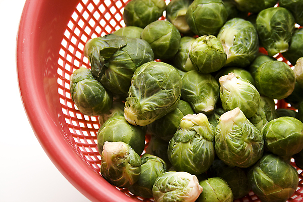 포토 JPG 해외이미지 음식 잎 채소 건강 사람없음 빨간색 초록색 신선 먹기 흰배경 양배추 날것 해외202004 해외포토 식물 컬러 백그라운드 모션 흰색 파일형식 이미지허브