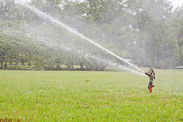 포토 JPG 해외이미지 식물 음식 잎 농업 채소 모션 자연 사람없음 야외 초록색 물 농장 정원 장비 젖음 성장 시골 침대 신선 떨어짐 상추 뿌리기 유기농 원예 날것 분무기 채식주의자 세련 해외202004 해외포토 자연요소 웰빙 산업 컬러 가구 컨셉 취미 생태계 채식 파일형식 이미지허브