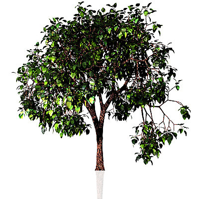 포토 JPG 해외이미지 나무 식물 아이콘 디자인 계절 실루엣 줄기 백그라운드 단풍 잎 크리스마스 겨울 꽃무늬 패턴 일러스트 자연 추상 그림자 미술 사람 사람없음 목재 그래픽 장식 여름 3D 봄 흰색 나뭇가지 소나무 화려 그리기 숲 큼 주차 오브젝트 사인 싱글 조경 윤곽 휘장 미루나무 자취 시리즈 해외202004 해외포토 기념일 꽃 컬러 컨셉 무늬 재료 모션 문화예술 촬영기법 크기 디지털합성 생태계 파일형식 이미지허브