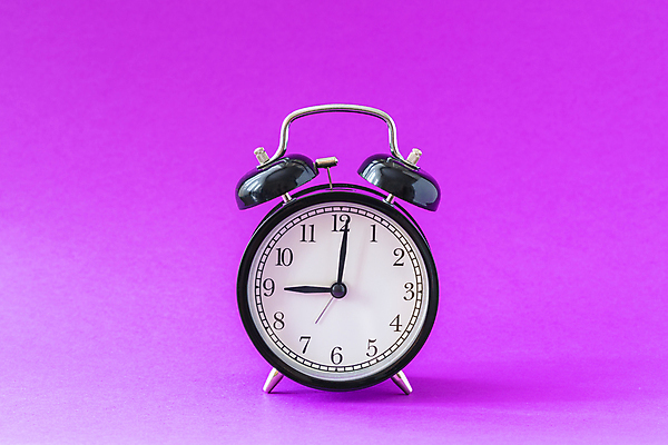 포토 JPG 해외이미지 나무 식물 꽃 백그라운드 자연 탁자 멕시코 선인장 주택 사람없음 목재 장식 초록색 파란색 빛 우주 정원 흙 사막 성장 신선 가시 냄비 척추 묘사 원예 질감 날카로움 뿌리 부추 내추럴 고립 심기 특별함 생존 현실 해외202004 해외포토 컬러 가구 컨셉 북아메리카 채소 재료 모션 뼈 취미 건물 솥 생태계 파일형식 이미지허브