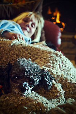 포토 JPG 해외이미지 행복 휴식 주택 따뜻함 한명 반려동물 평화 개 담요 벽난로 위로 해외202004 해외포토 동물 1 감정 컨셉 포유류 사람 건물 파일형식 이미지허브
