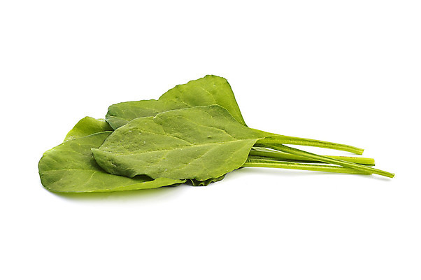 포토 JPG 해외이미지 식물 음식 백그라운드 잎 다이어트 채소 재료 자연 건강 요리 사람없음 초록색 정원 침묵 샐러드 흰색 아기 신선 고명 그룹 수프 상추 다발 묶기 허브 오브젝트 보따리 싱글 유기농 날것 시금치 내추럴 고립 생식 채식주의자 해외202004 해외포토 웰빙 컬러 모션 사람 소리 생태계 채식 파일형식 이미지허브