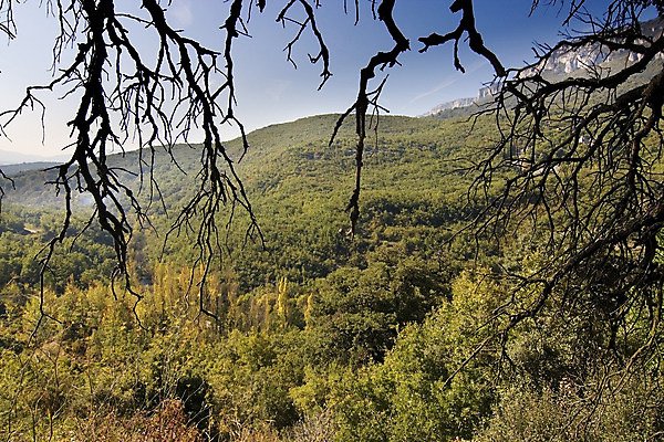 포토 JPG 해외이미지 나무 구름 길 여행 잎 자연 하늘 산 풍경 사람없음 초록색 여름 태양 여행객 봄 산책 하이킹 가을 나뭇가지 시골 소나무 스페인 정상 숲 언덕 절정 해외202004 해외포토 자연요소 식물 계절 유럽 컬러 레저 휴식 사람 생태계 파일형식 이미지허브
